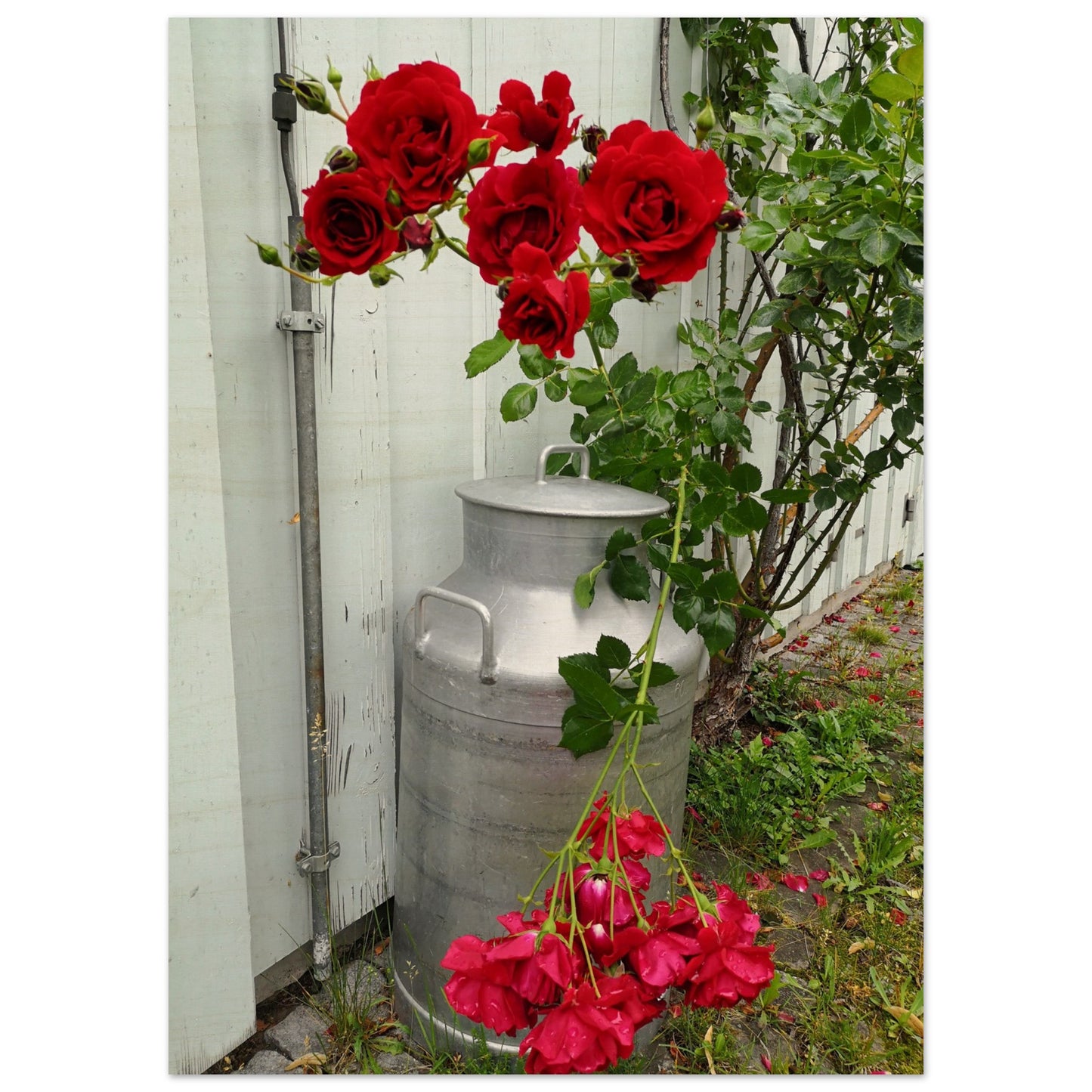 ad51ba62-e42f-4db1-820a-ef6f392d2ef1