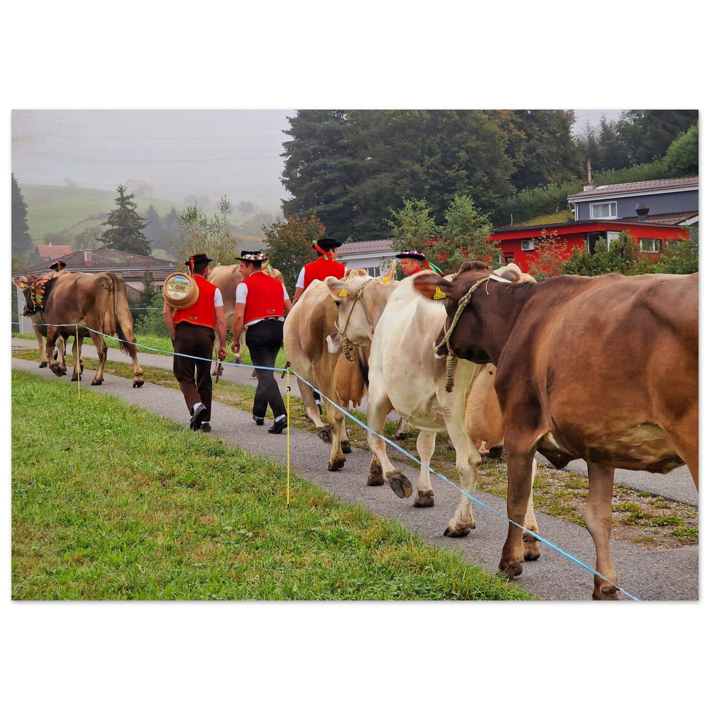 af03a7c4-30cb-42e1-8358-5dfd57e6fc98