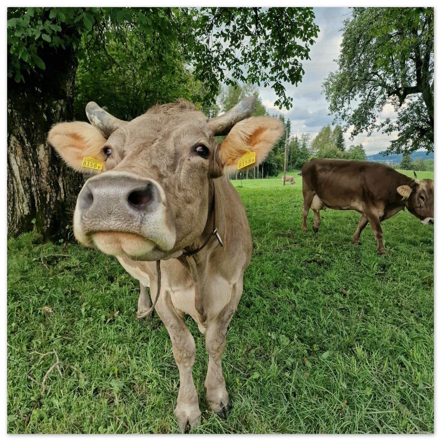 af249b8b-4757-4b6e-b4f0-b8094820fdf9