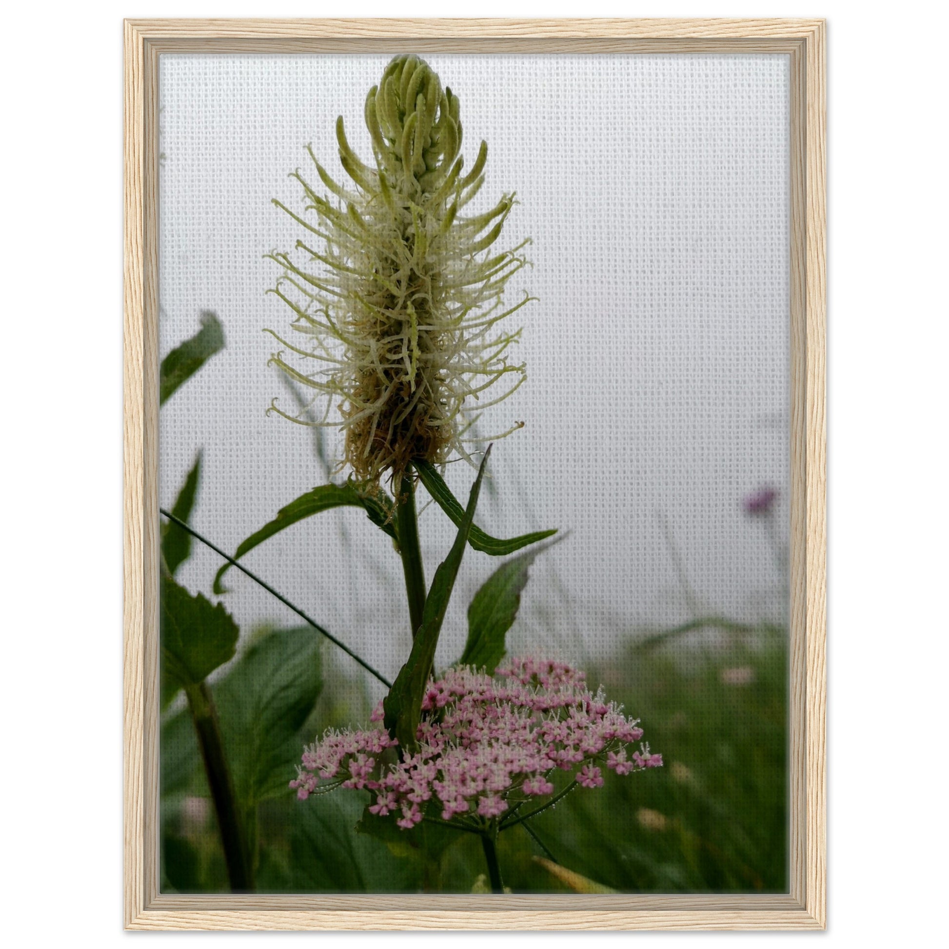 af51010e-0605-46af-bd5b-bab32a62d28c