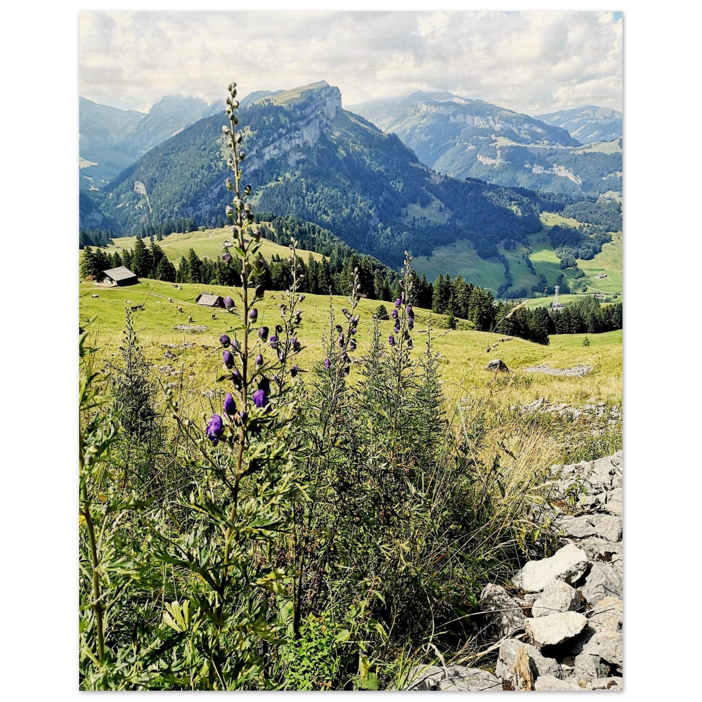 af5332d3-9be5-49cc-9609-87fa24431adb