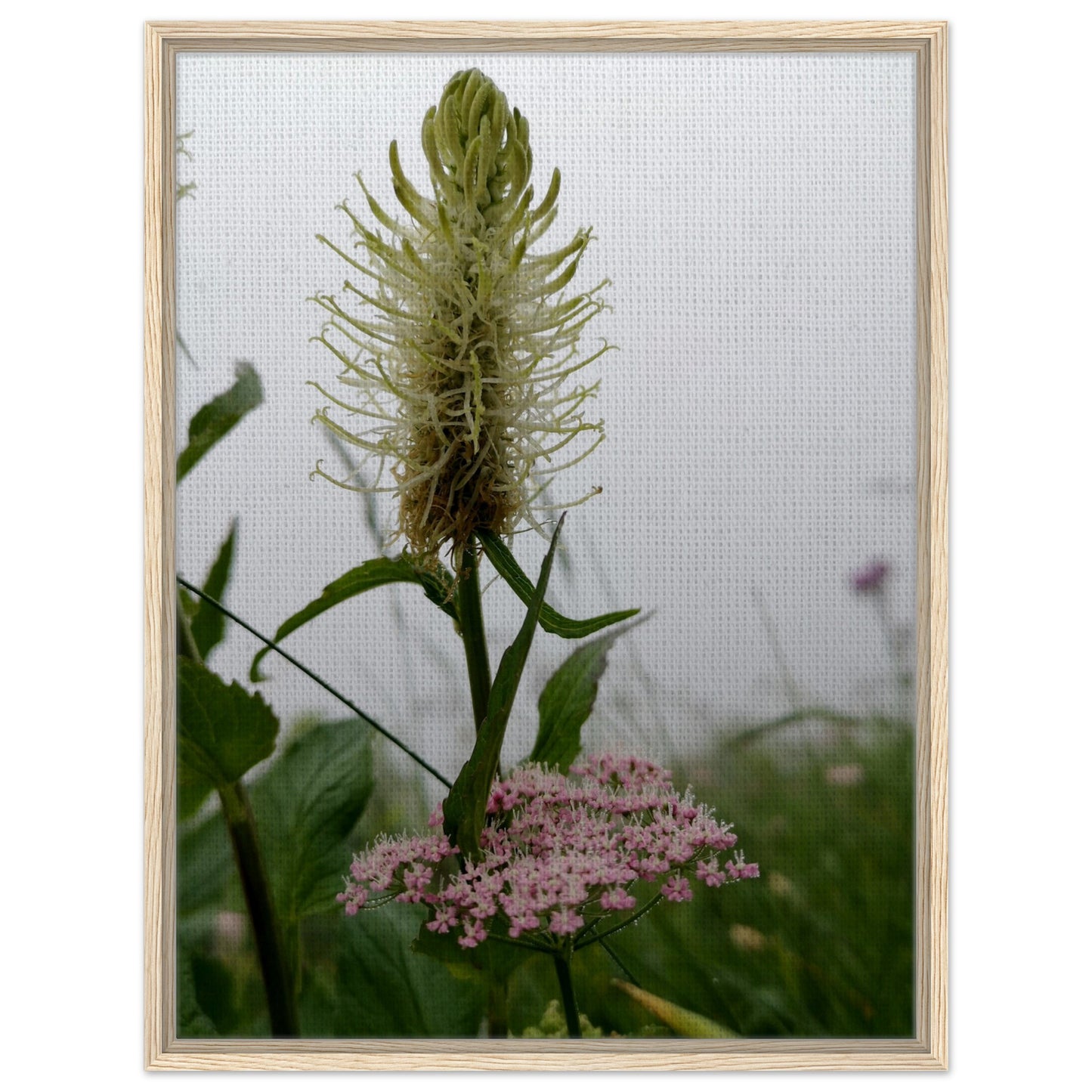 b01f14eb-0d71-4967-b89a-4c75ca472244