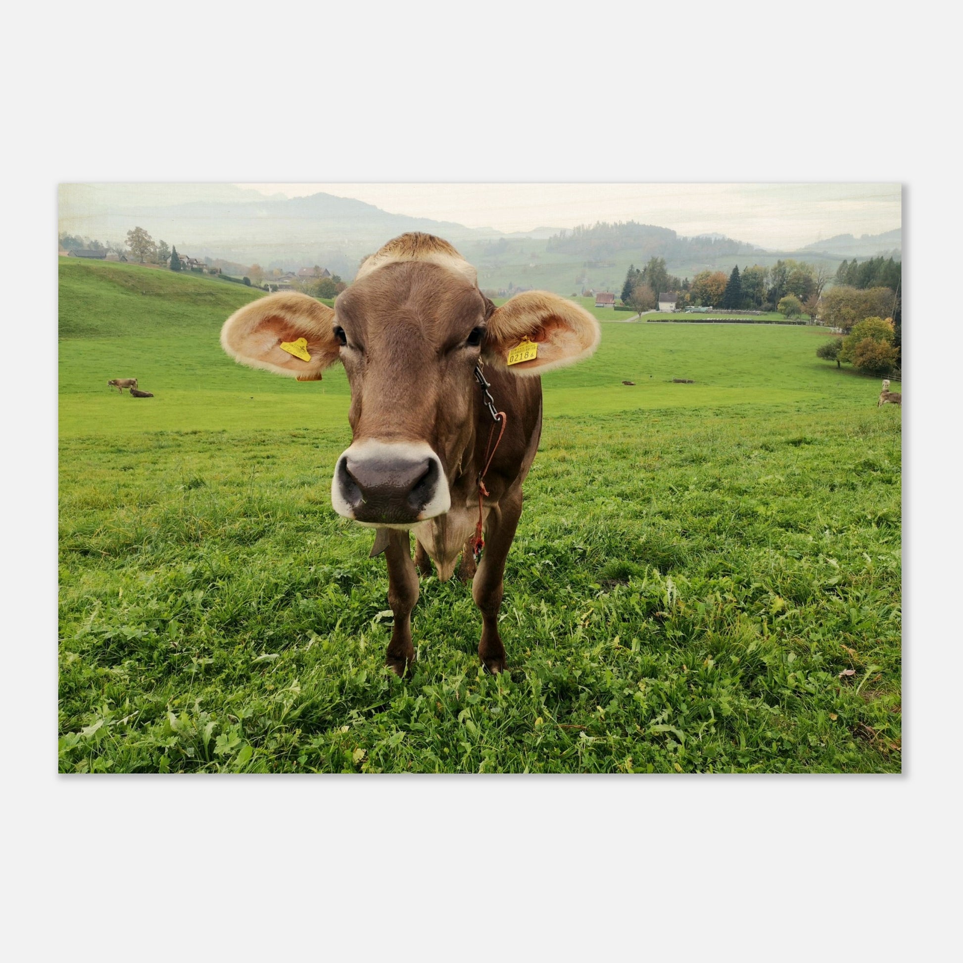 b0f5a828-4860-4697-b7bc-ed93c672b3b3