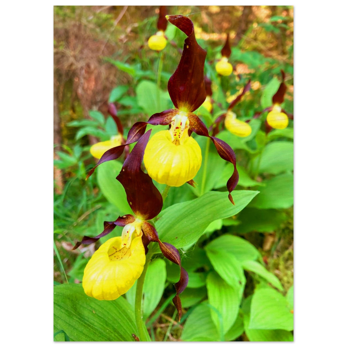 b3237754-22e5-4b88-a22c-ef5ff4dc842d