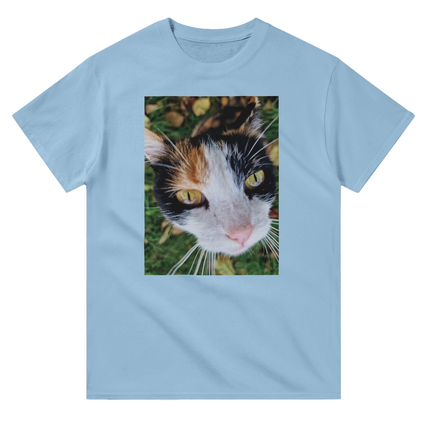 b49ebd47-0789-4c1e-9050-ea5c19a93359