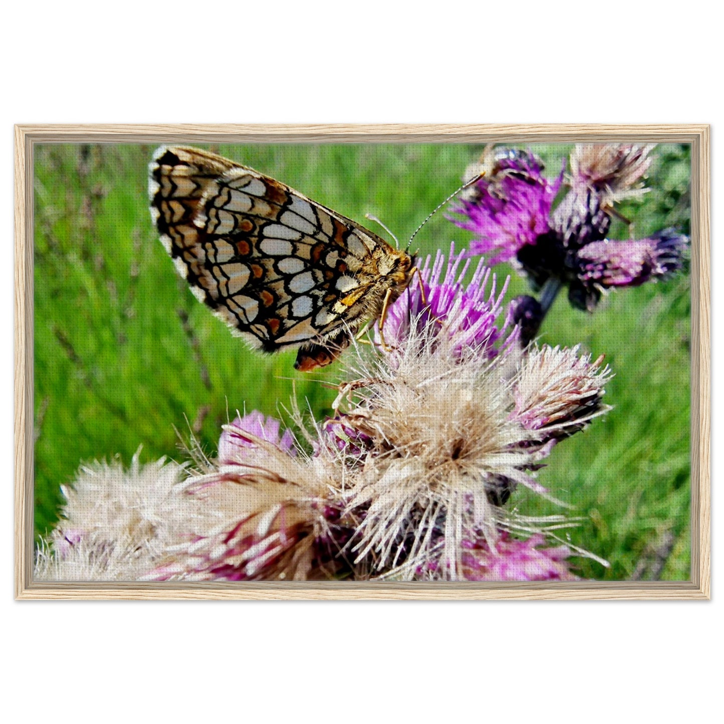 b5928bd5-6744-4955-bb52-7c0d5975443d