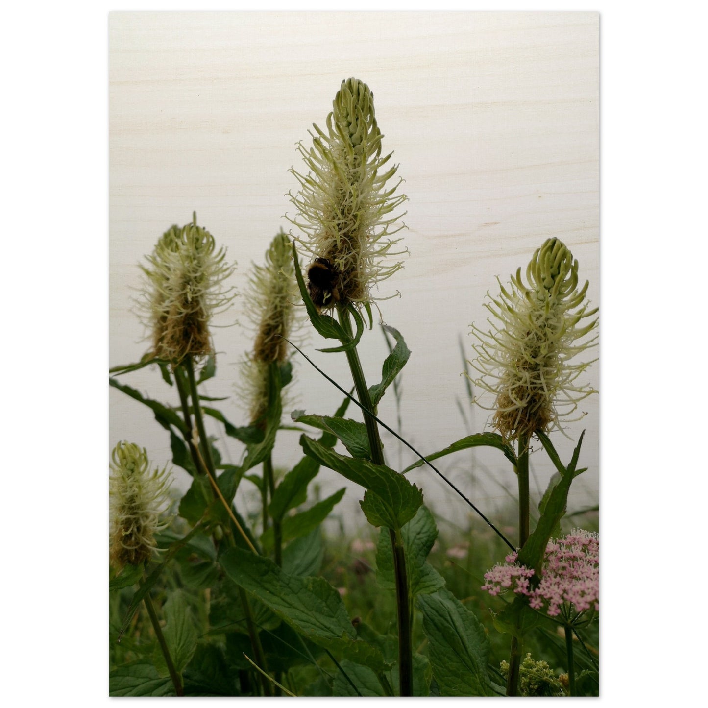 b6937275-a640-4ec2-9a51-21a69437823d