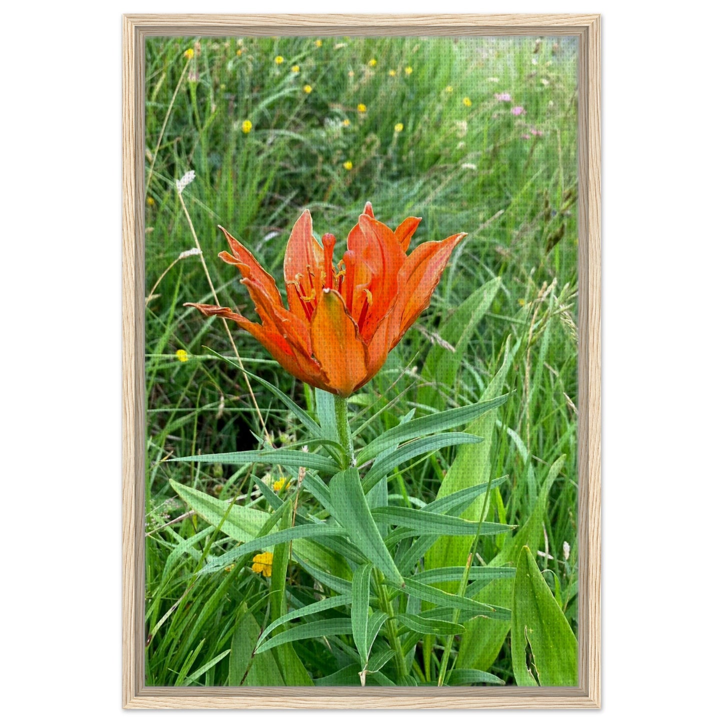 b6f47137-2cfd-4436-9c13-2f2af674f2f6