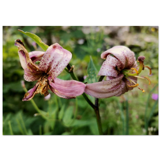 b72da0e1-07aa-497f-b7dd-6b41048c2b41