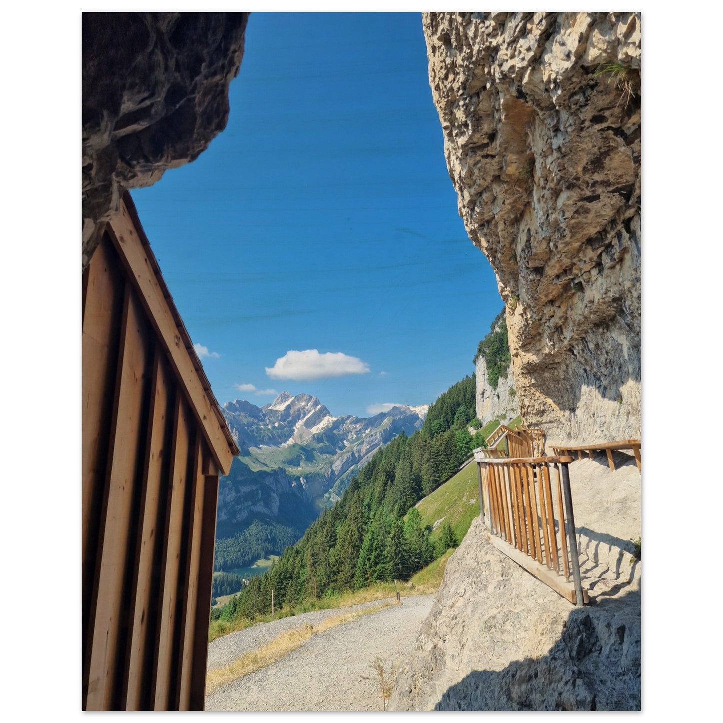 b9417872-1b56-41c8-a7b5-ed82116e5e3d