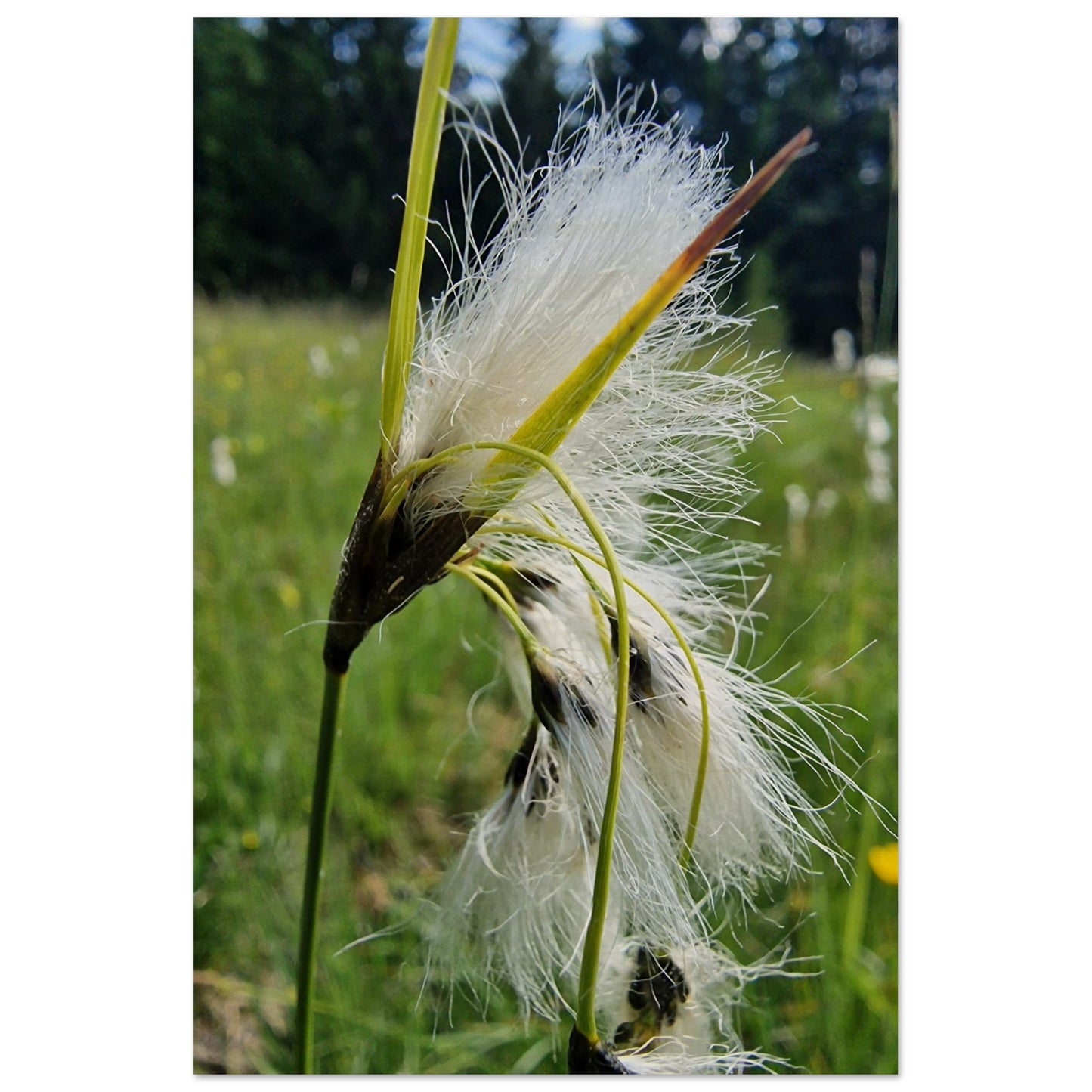 ba384906-6243-4d91-a01a-58278fff7aaf