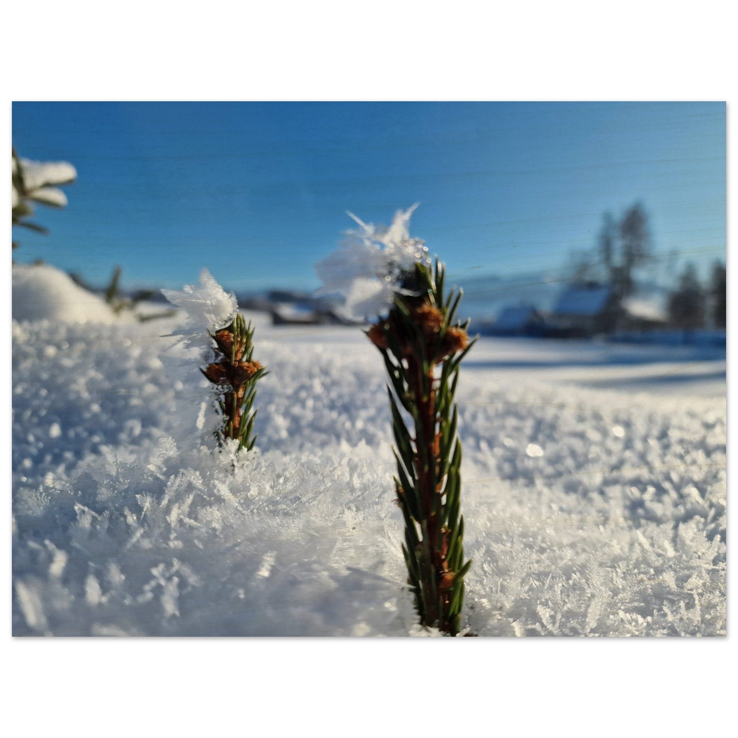 bba9d522-9fff-4173-b404-97a5619d6dae