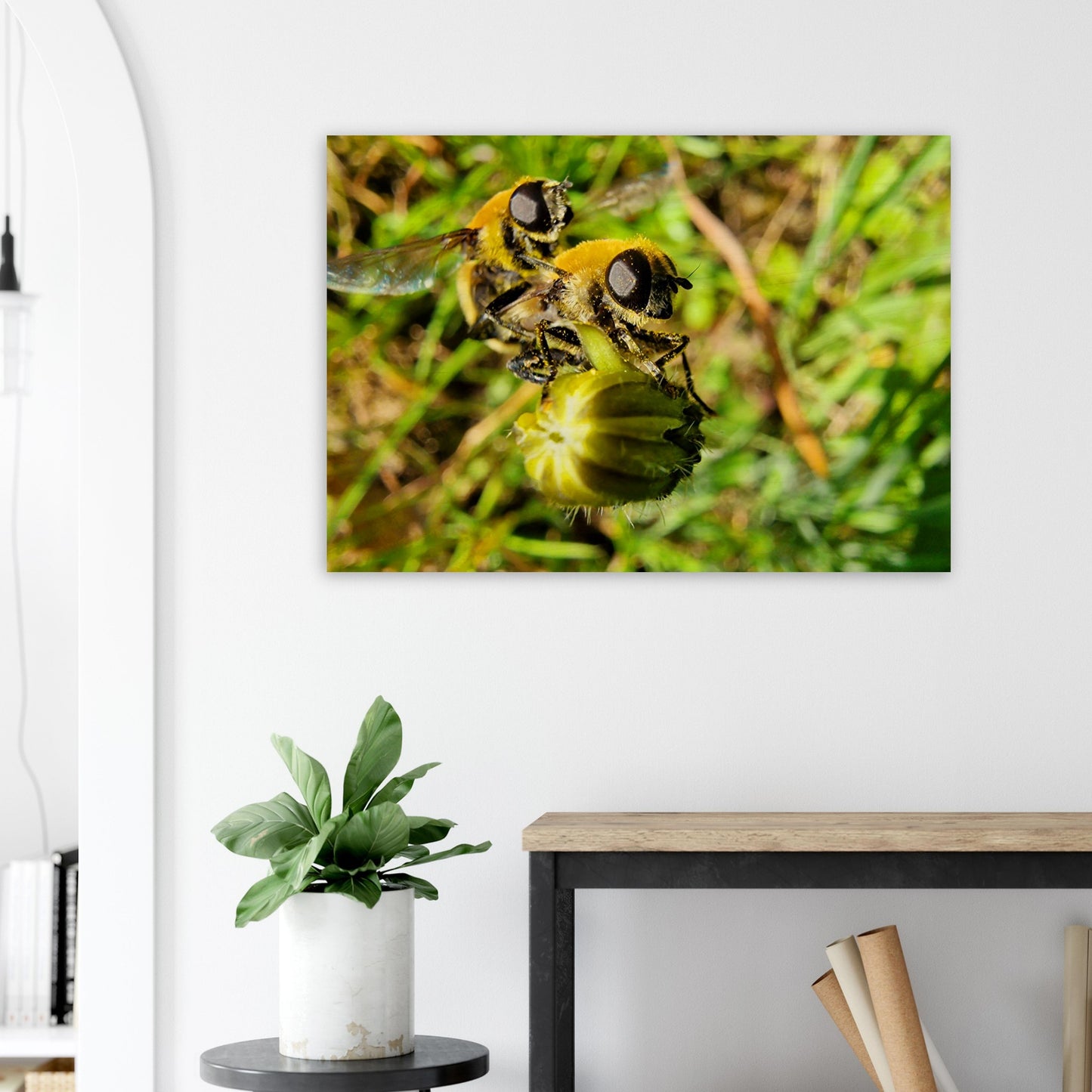 bbe9064d-ecec-4804-a652-7baf487ee992