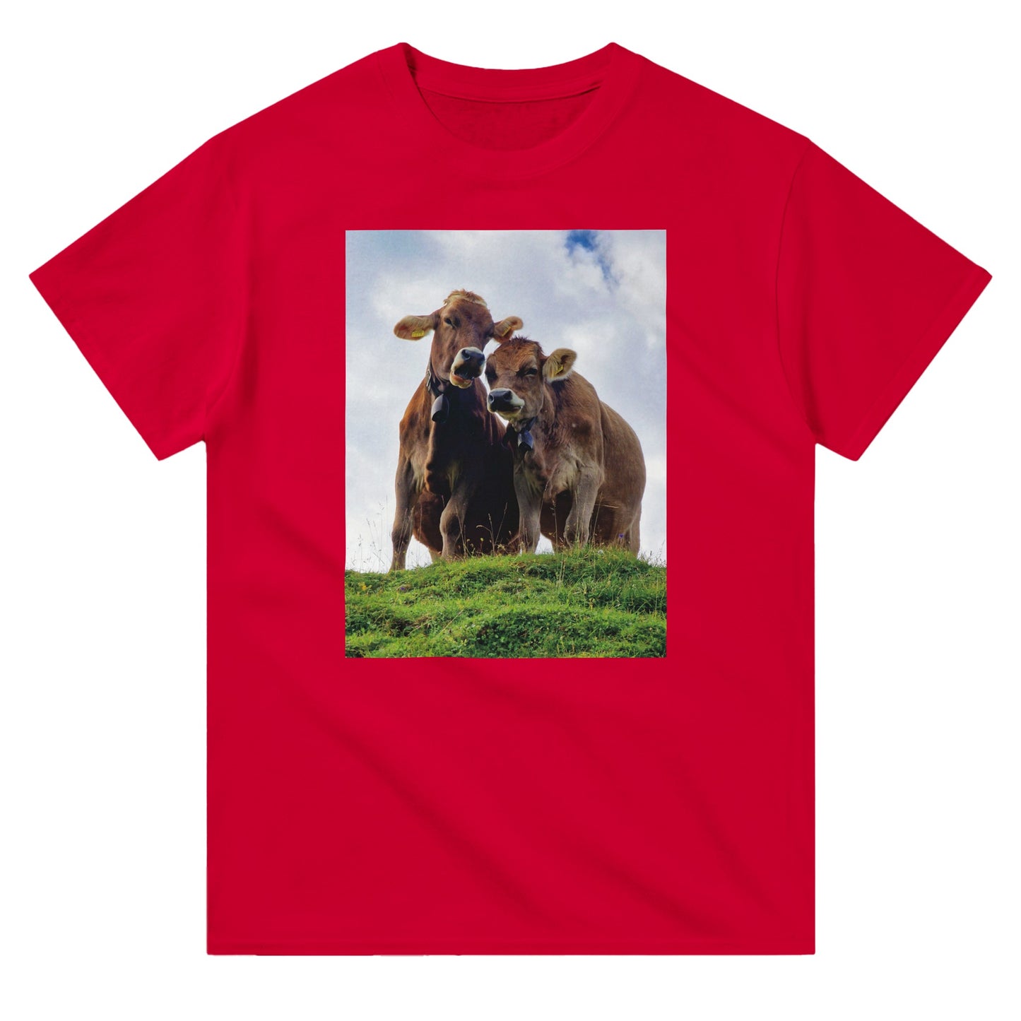 bbfe0950-b33d-46a7-9bf1-5830e151c413