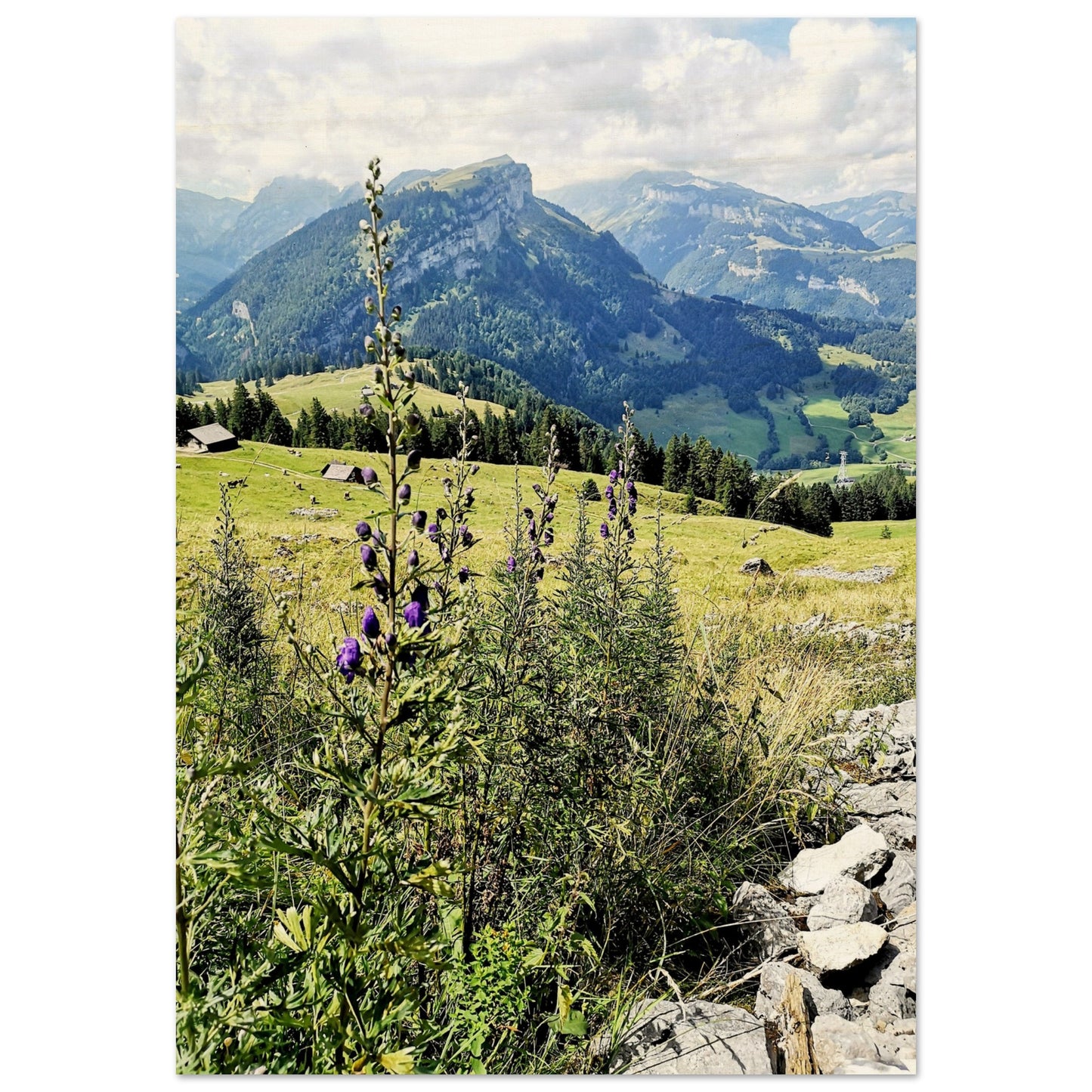 bc464519-0de7-4109-9f6d-e9a253ac1d37