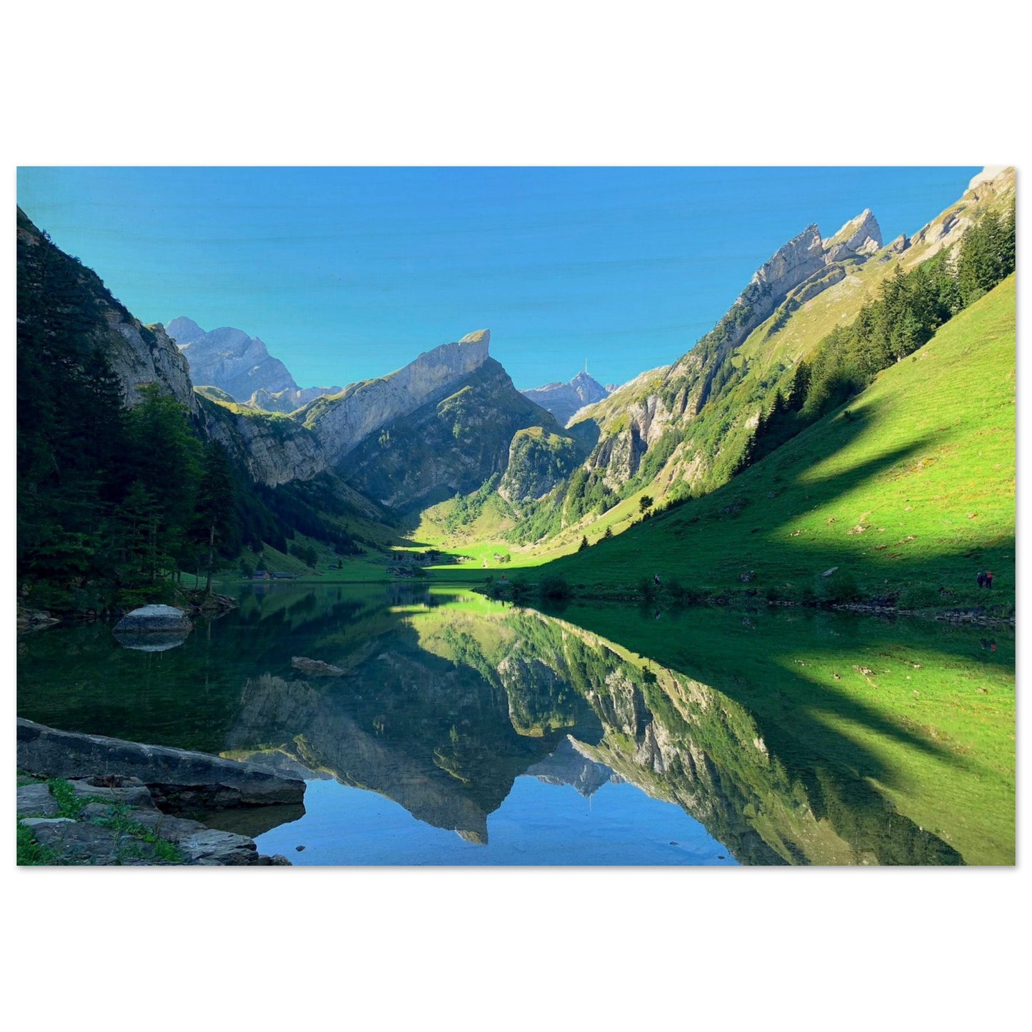 bc4a39dd-bc37-44e2-80ea-20a4efd32a56