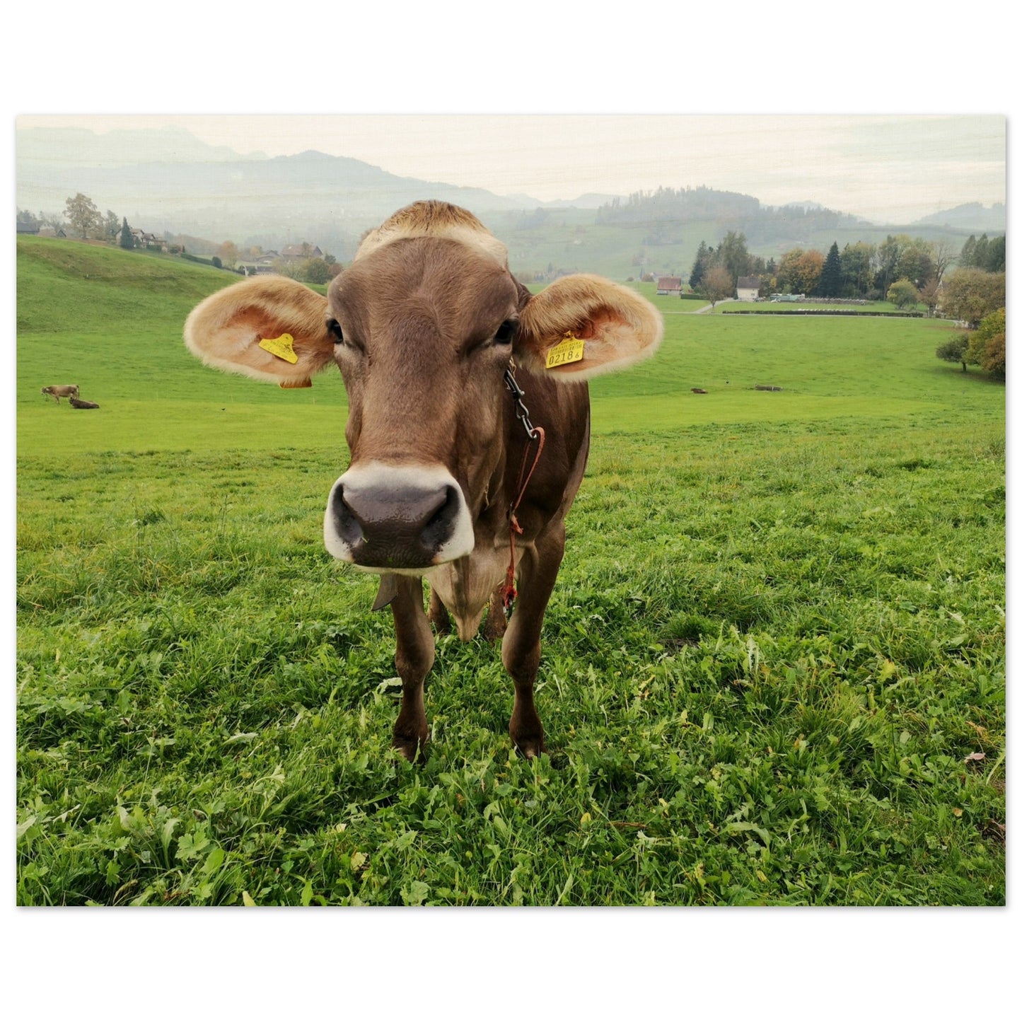 bdcfe5ee-3b3a-4de4-a58d-2716547eea62