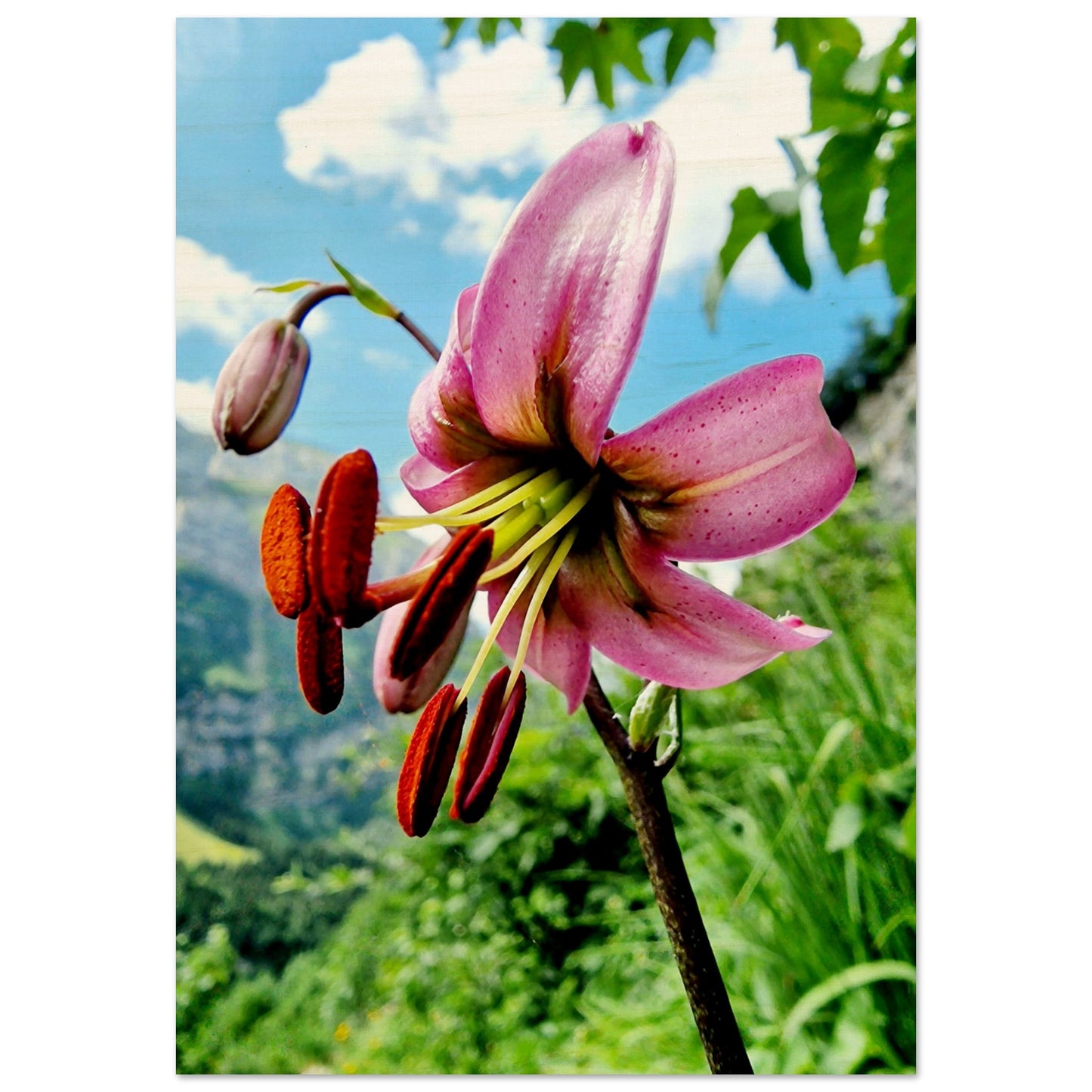 bee42a48-9bb1-433e-8fc5-c8d80f87f54f