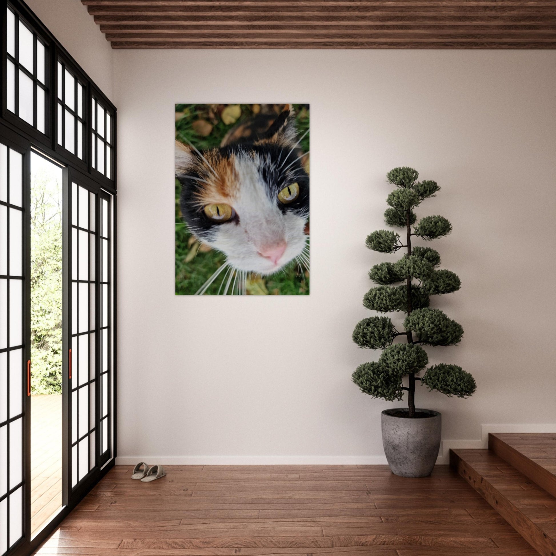 c051bb7c-bb5a-4cee-bfb2-f769392f65d4