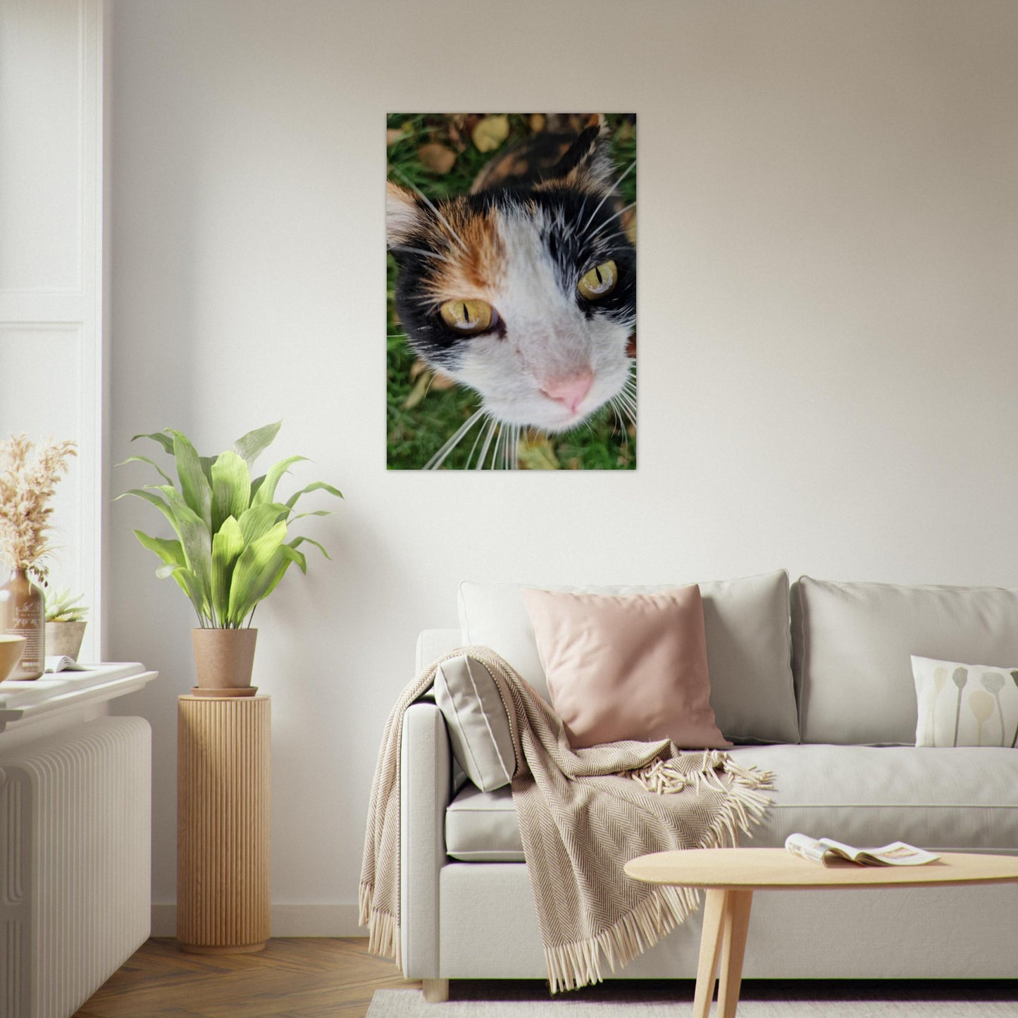 c051bd7d-1199-4840-9163-bbe3d52ce40f