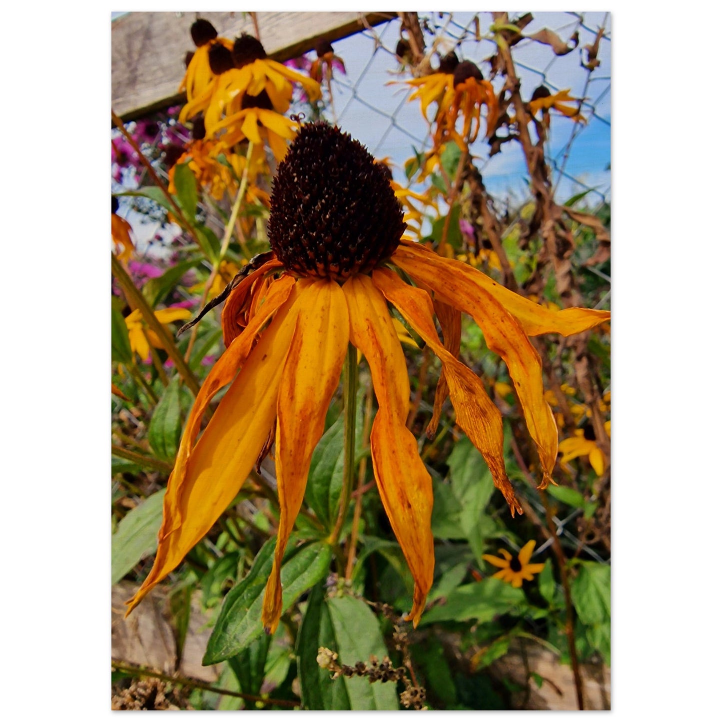 c16634f3-c938-477f-8523-25d661c06241