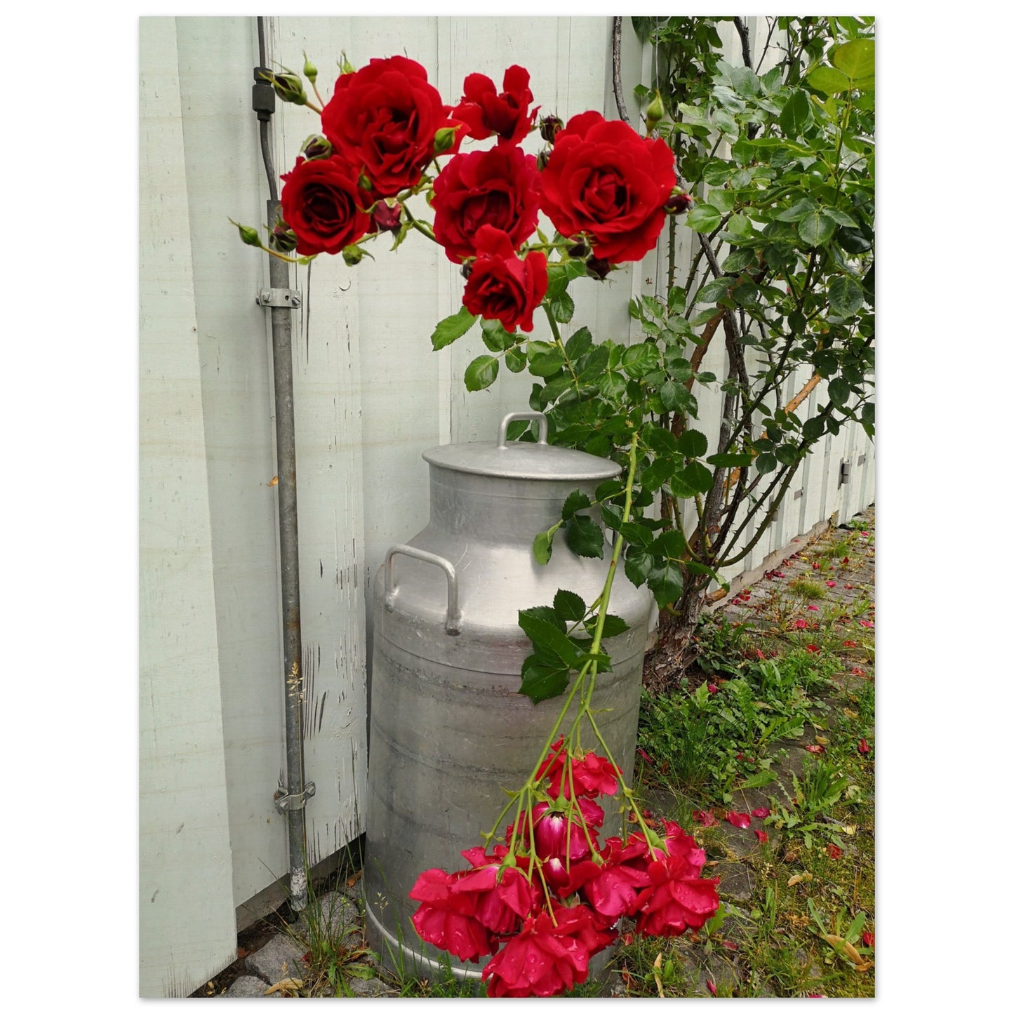 c16bee6b-5969-4608-bcd6-243cf0e728de