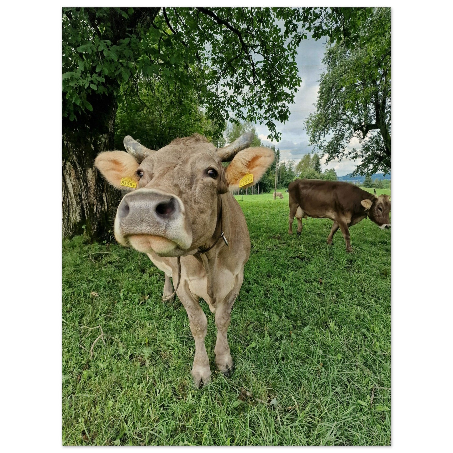 c17c035f-6ef0-4299-b8d1-00b1842e5a01