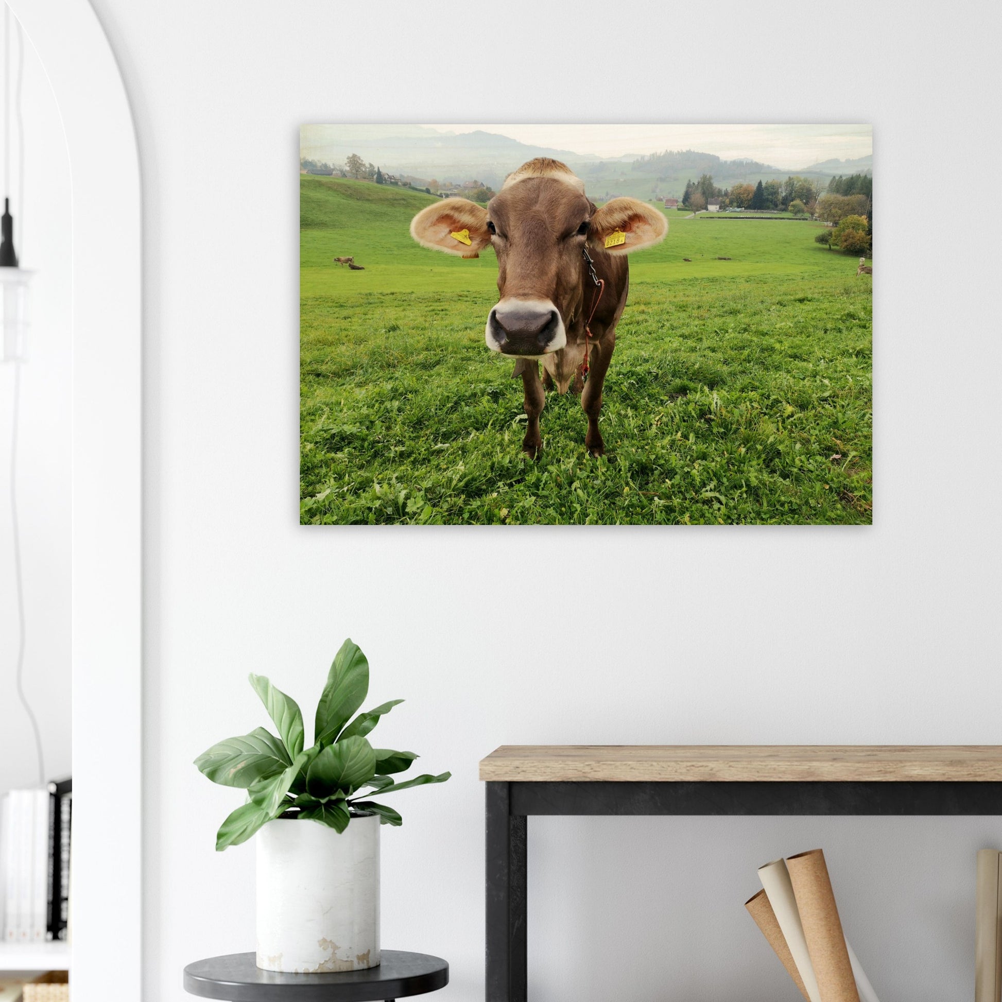 c42375b8-101a-4fb8-a0a2-7a2654a77914