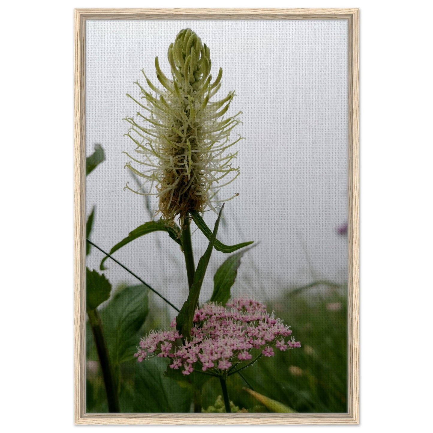 c4cadcf6-148f-49a5-8209-fb7d2edfdae0