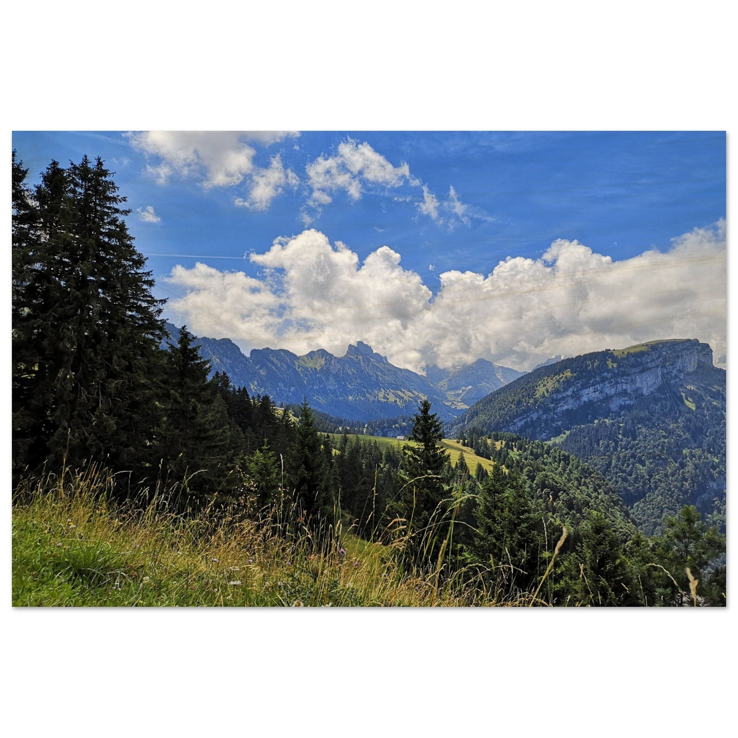 c53329a7-2d3d-4263-b658-f101644059d7