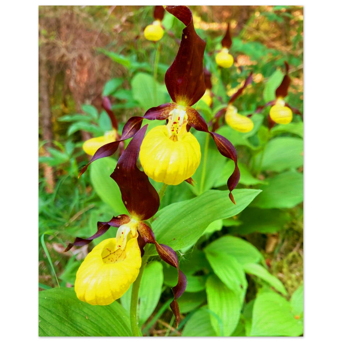 c53641b0-4fc9-4b57-b3d2-d248551352ed