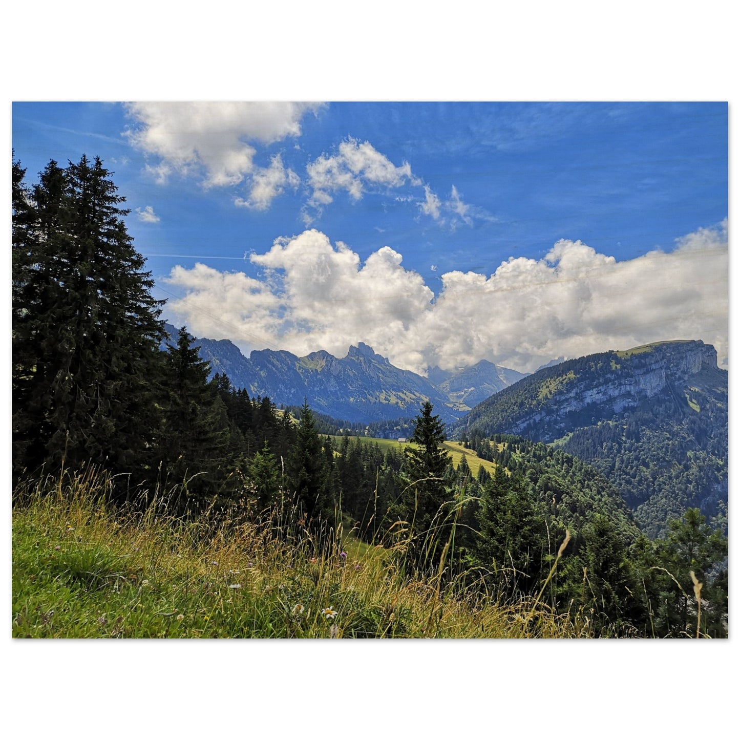 c58f462c-83ec-4540-b289-0952b4aca14b