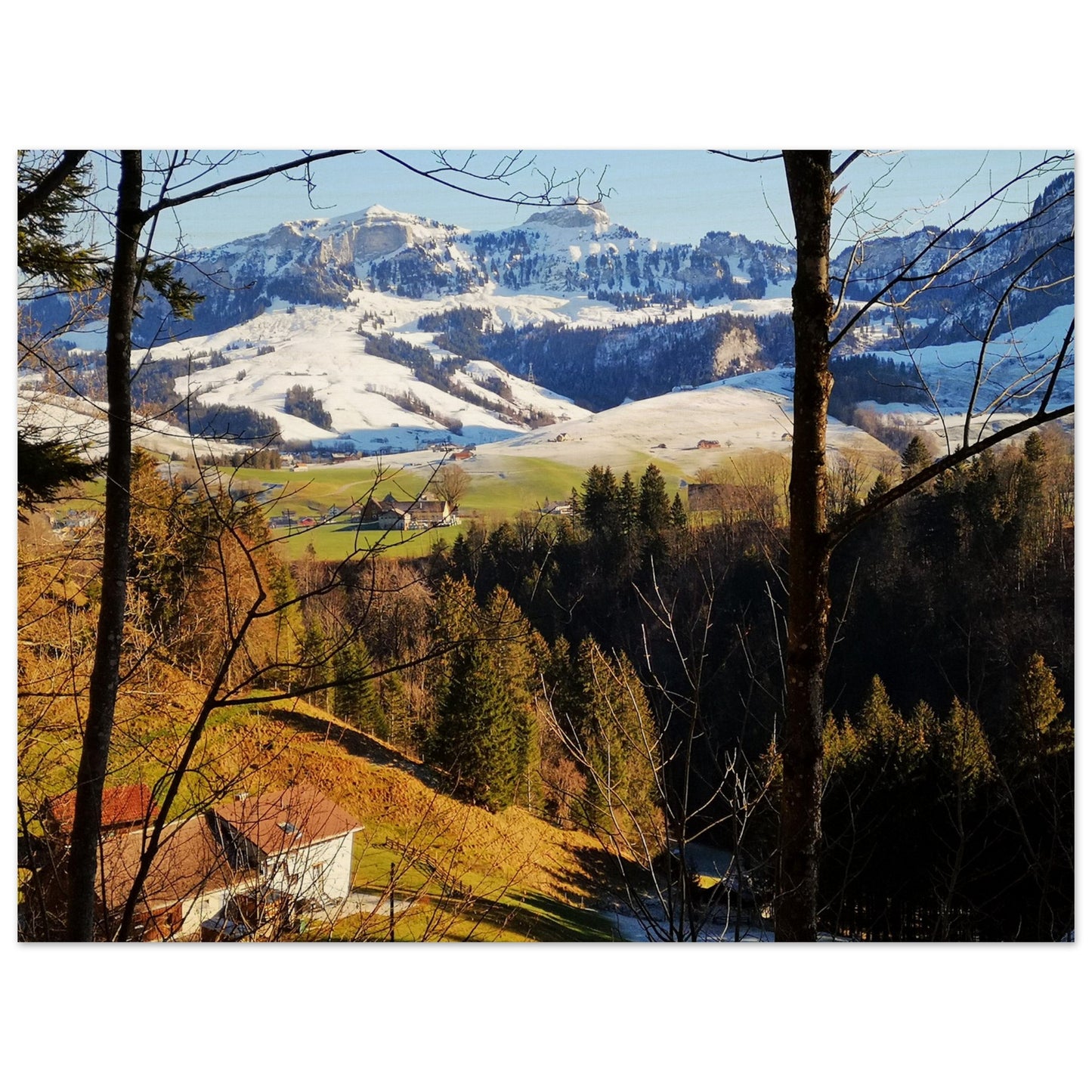 c5a2a36e-3806-417b-9edc-f59fdddc7e8f