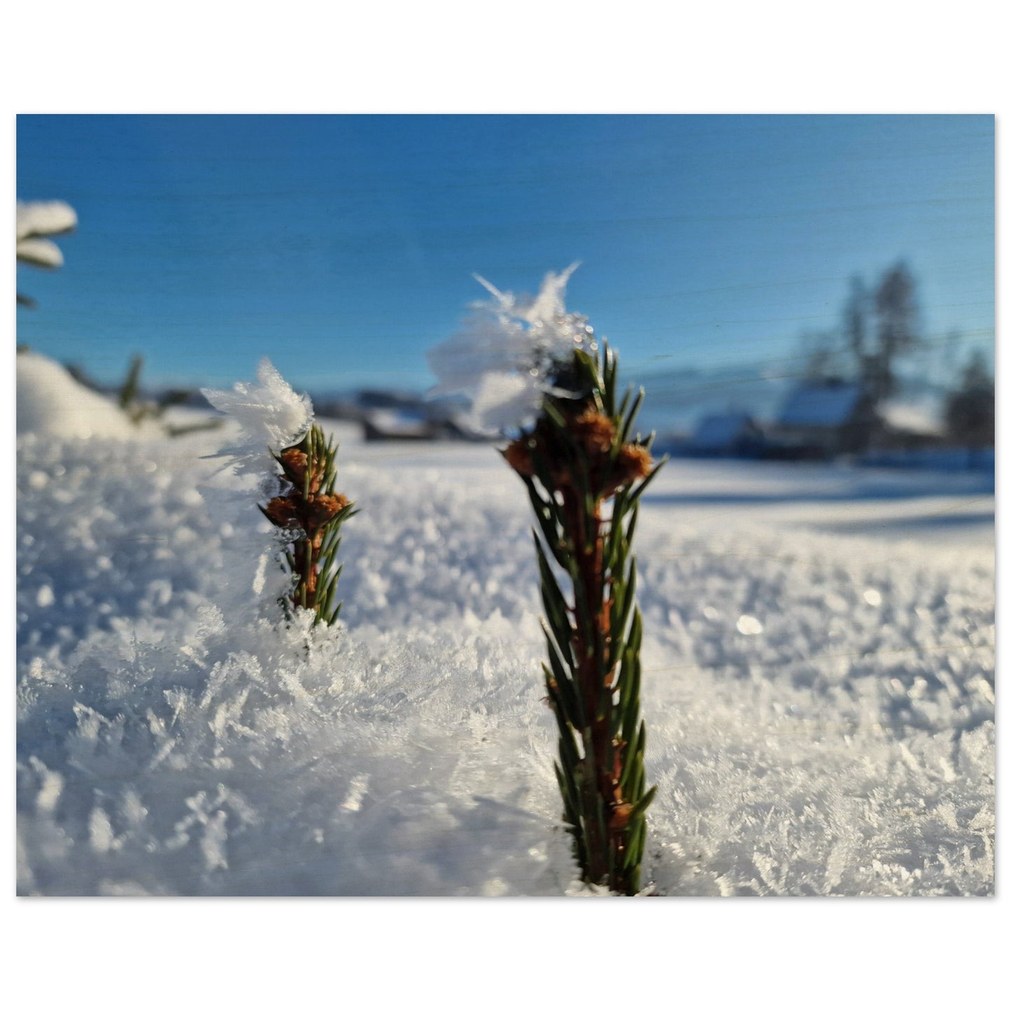 c5cf13fc-085c-40ed-9f24-57bacd14b54f