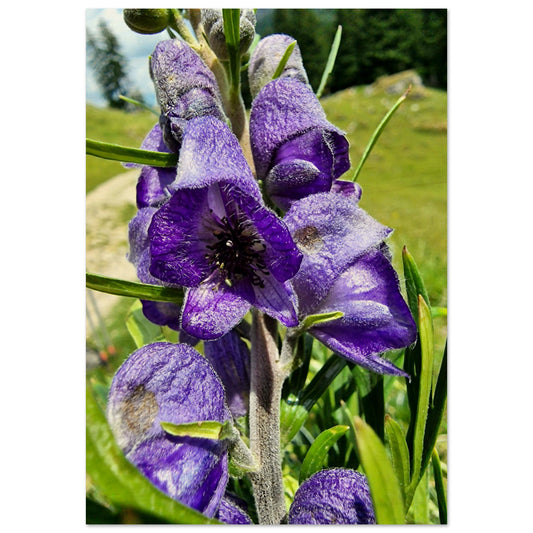 c64790c3-345b-4011-b52e-d635aa423d85