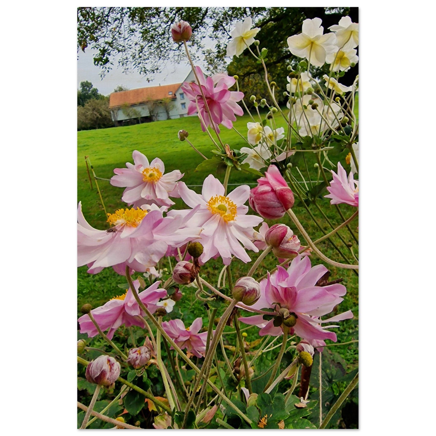 c682d85d-f7f3-4f42-ac1d-85b5e57bd045