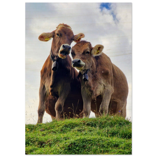 c76c5112-541a-4c94-898f-df186d1930b6