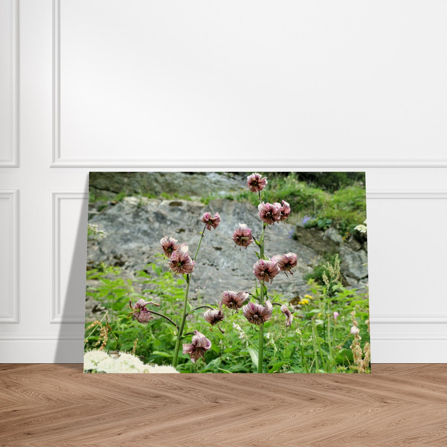 c8106a83-0115-41ea-bc8c-c6d366b444e1