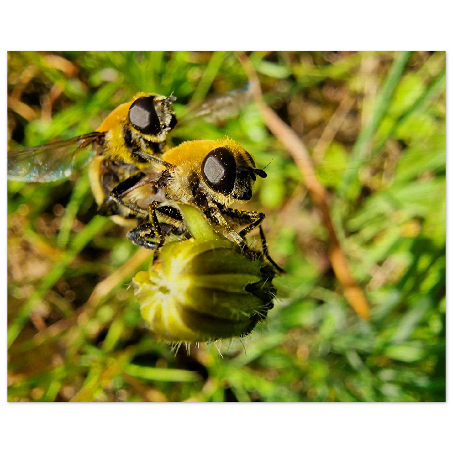 c8a5242e-6efb-437b-9c87-d6cc2b69cd70