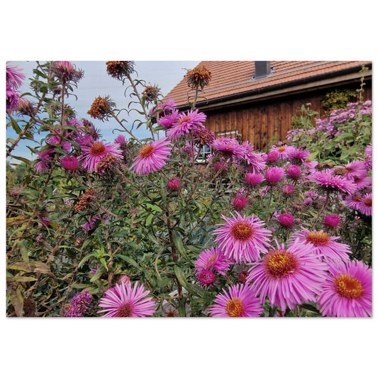 c98ac424-2529-4cbf-be28-a538a3851a16