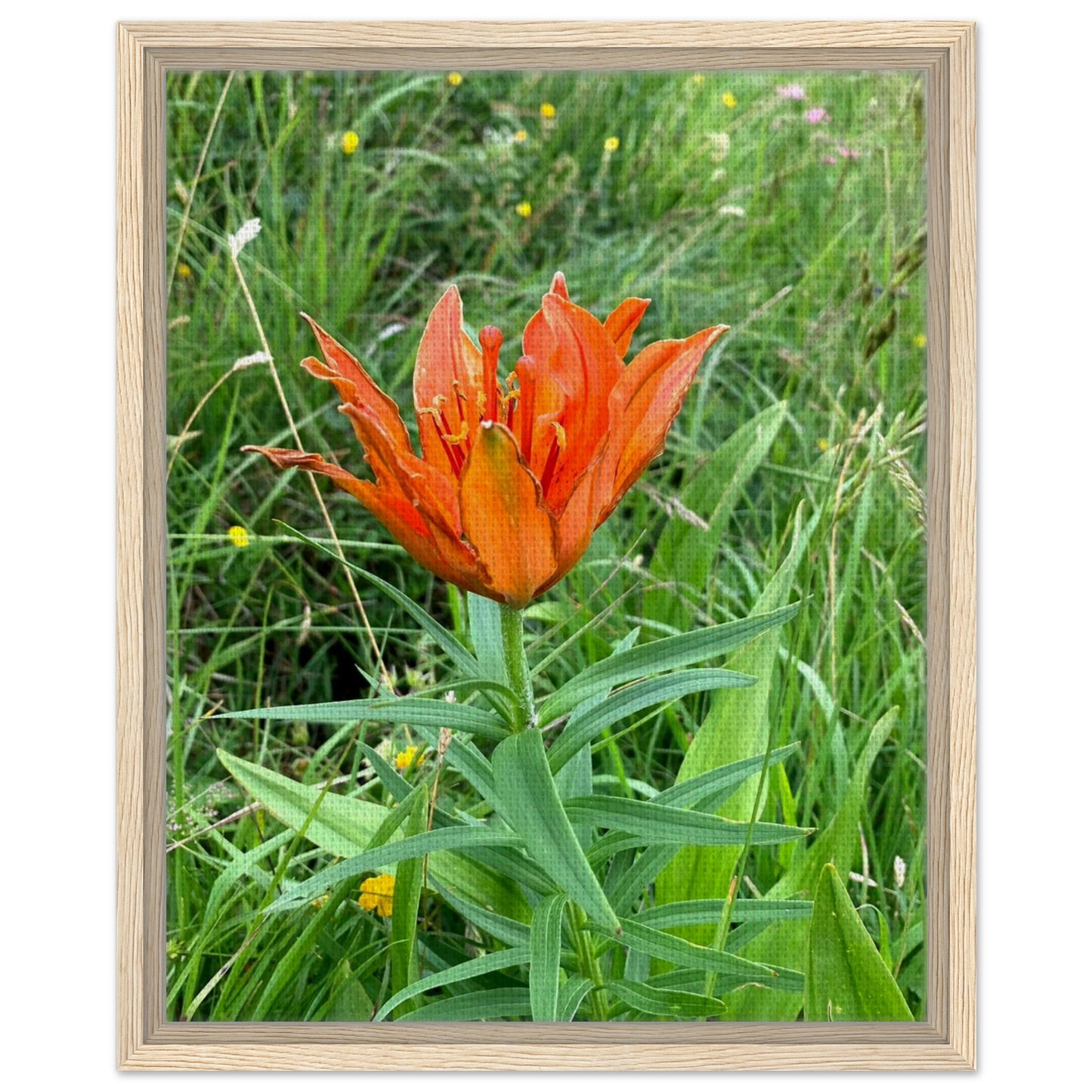 cafcf5fc-06d0-4ddd-8607-87390d96bf98