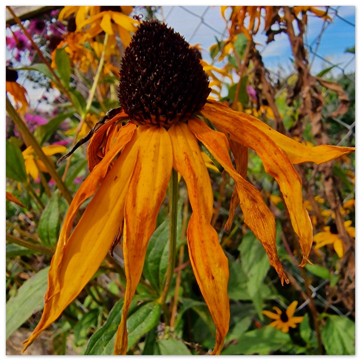 cc1e328f-d5bf-4935-a34b-dd5732cbe9f8