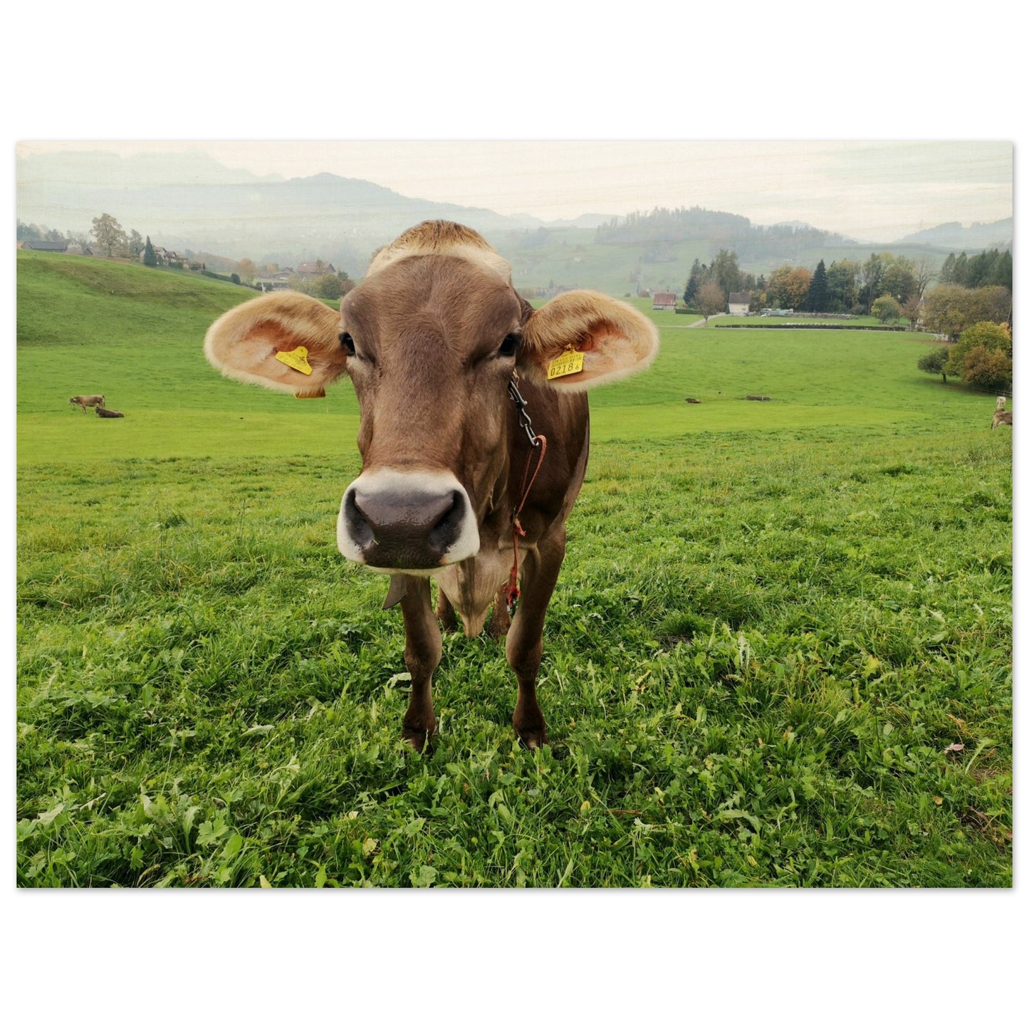 cd041286-80b9-41cc-9c87-c5446ea0adeb