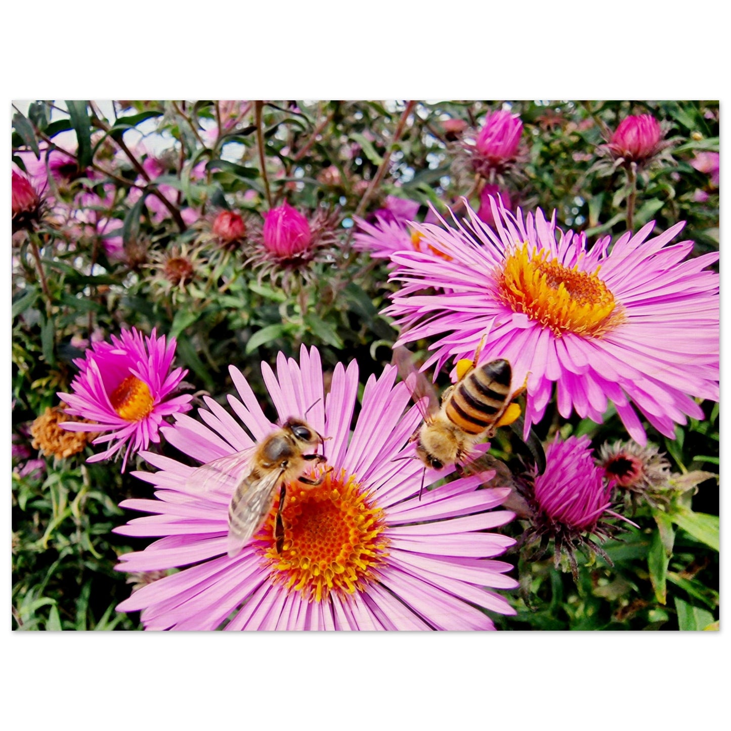 ce603142-ba6c-4c8a-ad98-391b61e126ab