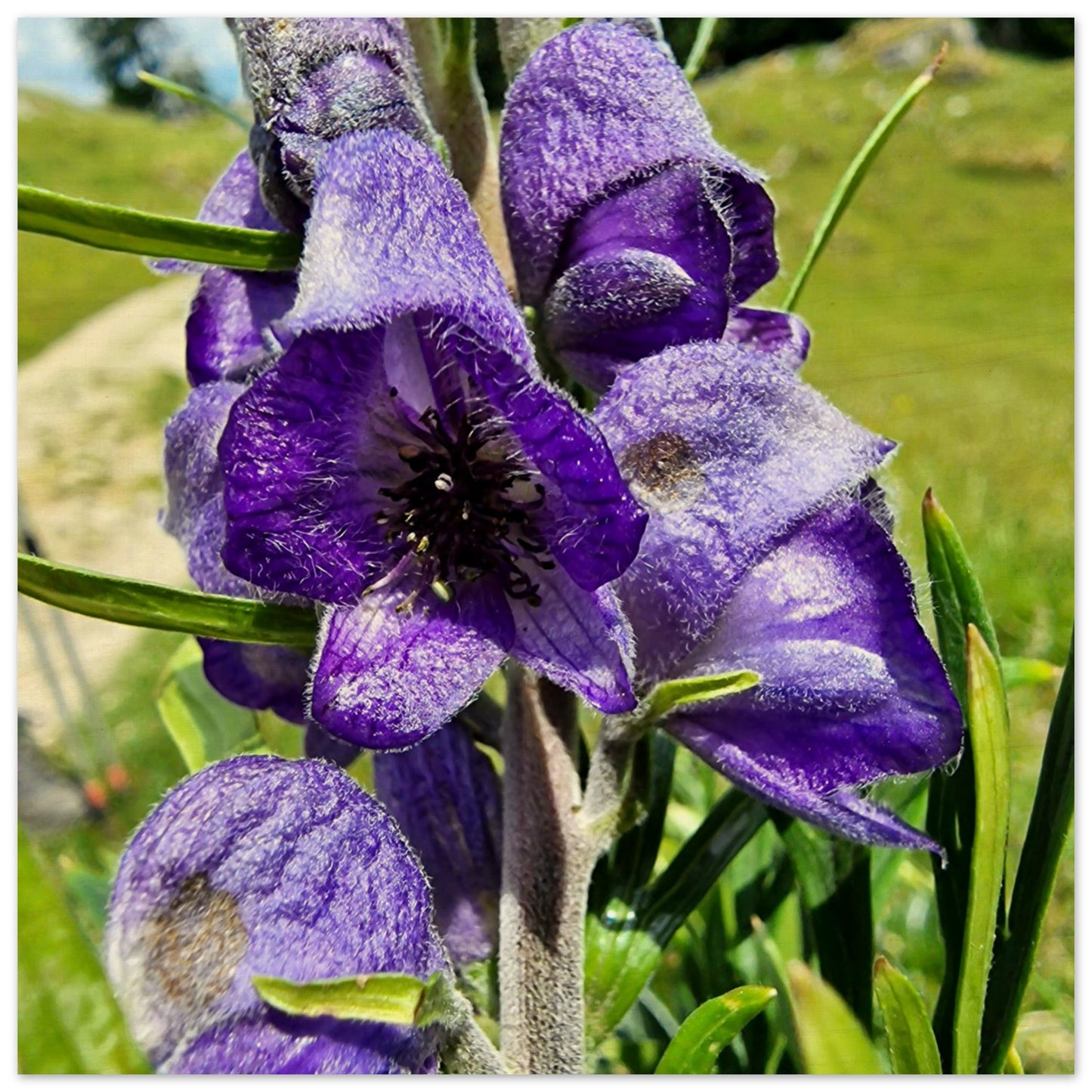 ceb55b43-970d-49c3-9e55-4325fe499be8