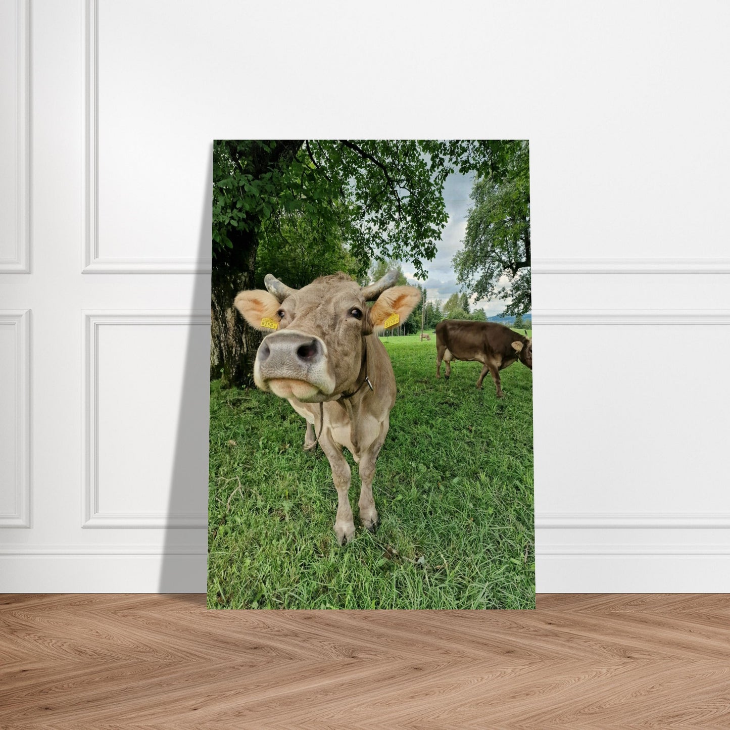 cee4fb6e-43d7-49cd-9c7d-a76ae42cbca3