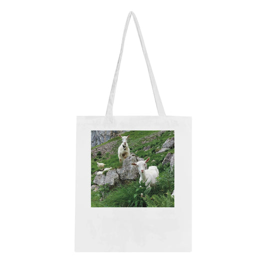 cfdcb9d8-37f6-4ba8-8c39-f5d4db8d3805