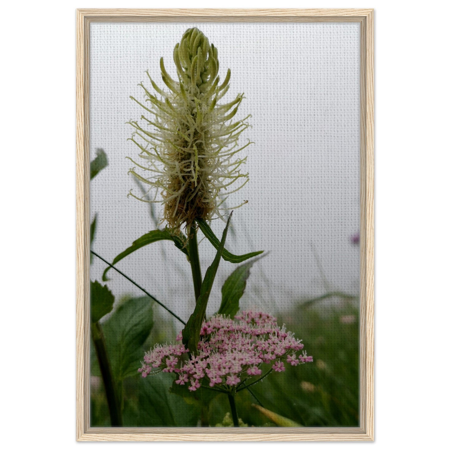 d093e62d-e77f-44b9-a800-6dd10c8e71db