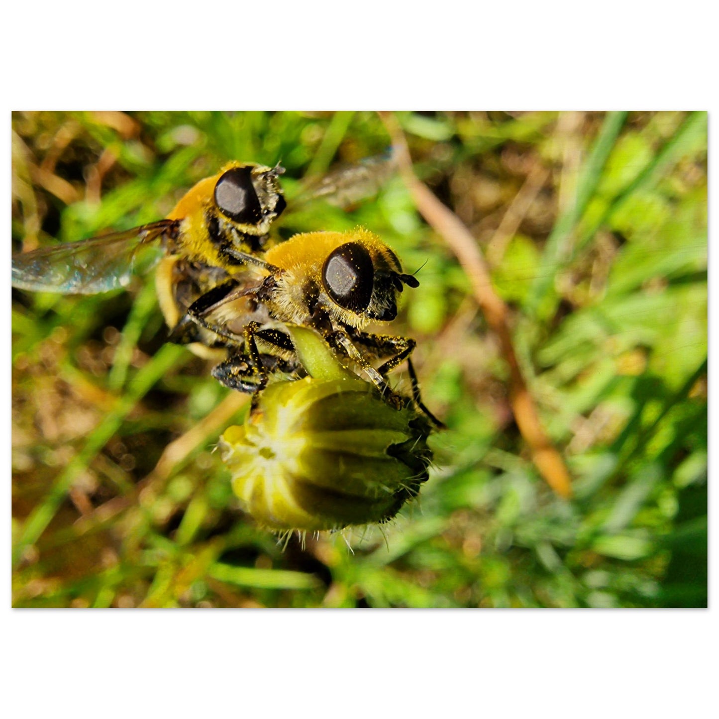 d24e83ad-a054-4a4e-a774-b702b16f621a