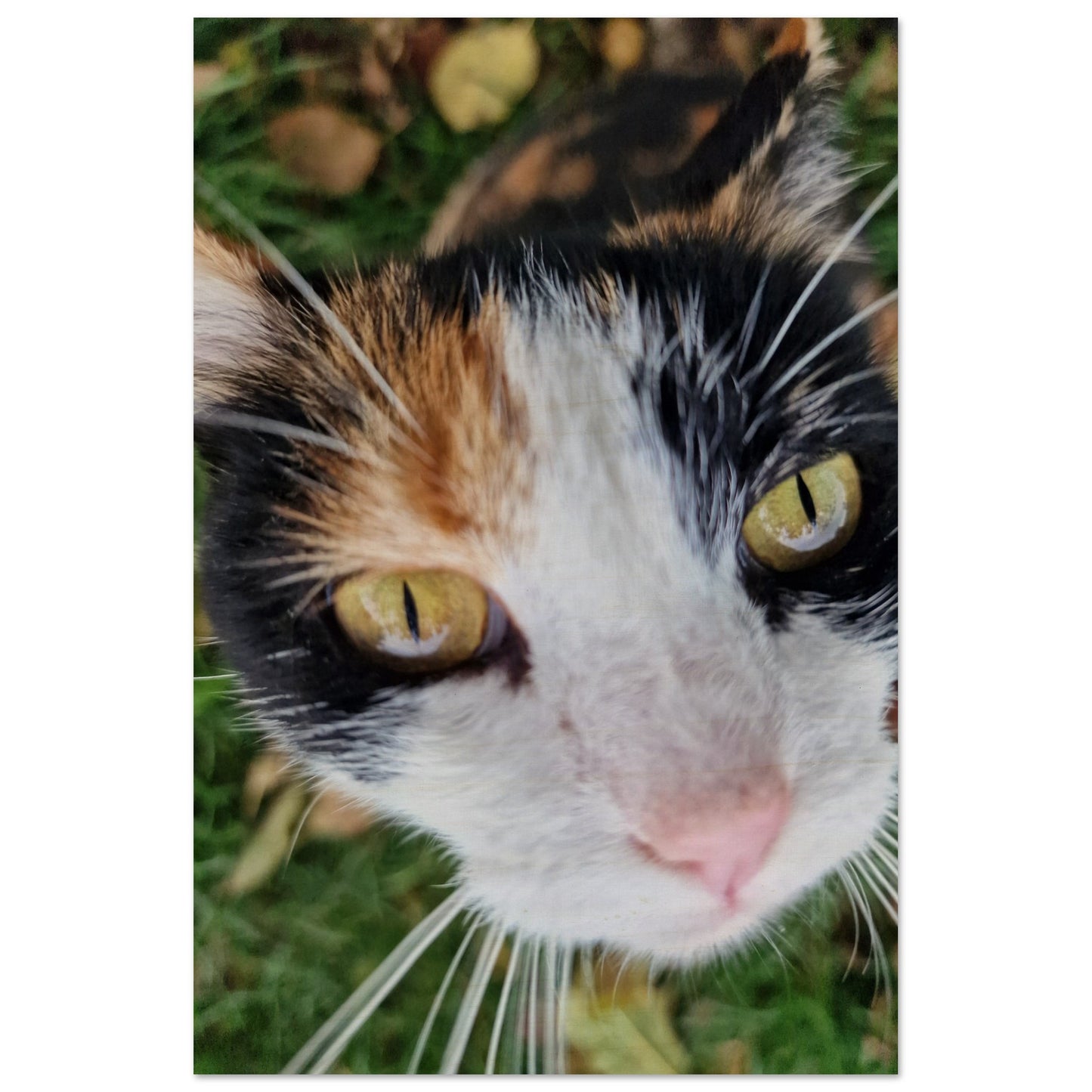 d3b013c5-652e-4584-8029-1a3316a6b7e7